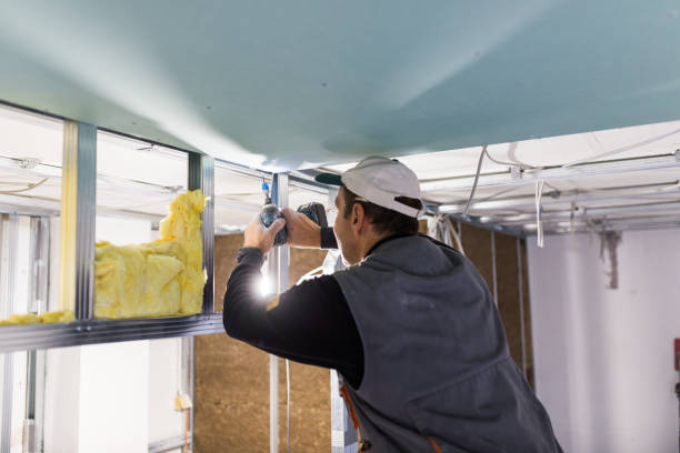 Best Cellulose Insulation in Warrenvle, IL