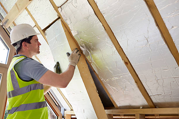 Best DIY Insulation Kits and Guidance in Warrenvle, IL