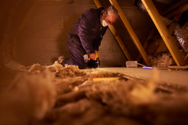 Best Residential Insulation in Warrenvle, IL